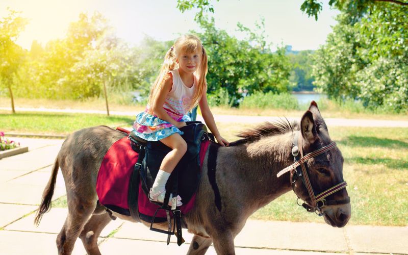 ein kind reitet auf einem esel